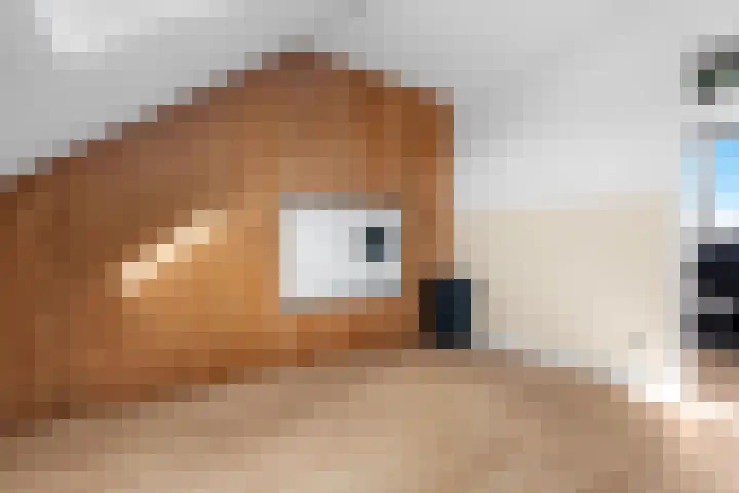 Kruiskamplaan 67 Uitgeest thumbnail 53