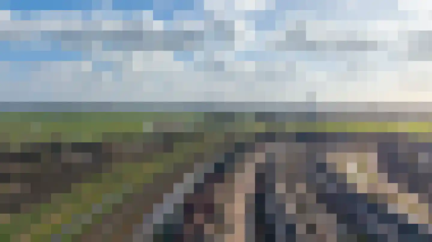 Kruiskamplaan 67 Uitgeest thumbnail 58
