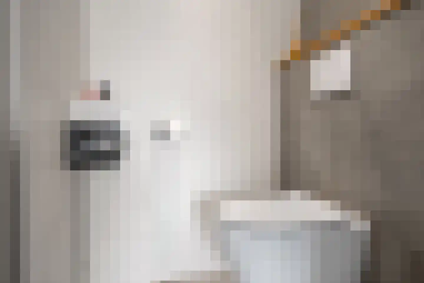 Kruiskamplaan 67 Uitgeest thumbnail 6