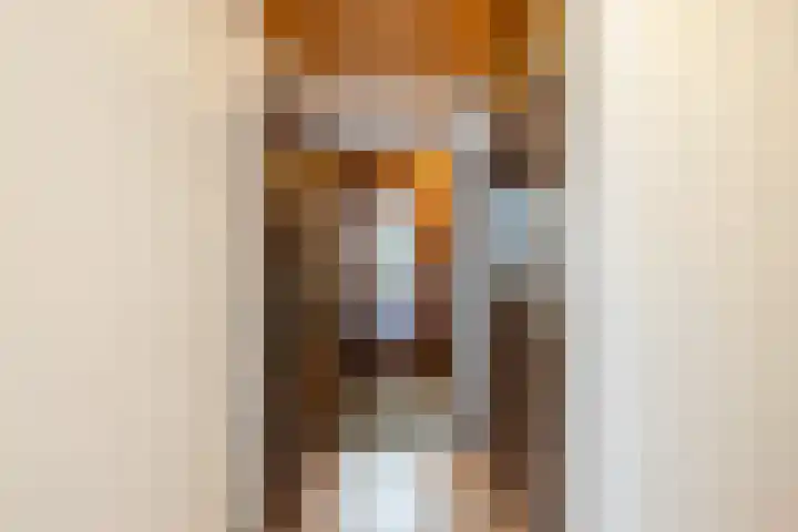 Kruiskamplaan 72 Eibergen thumbnail 19