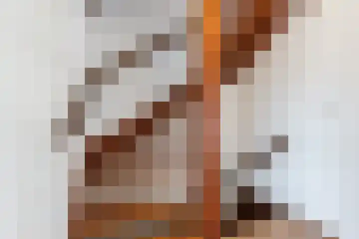 Kruiskamplaan 72 Eibergen thumbnail 33