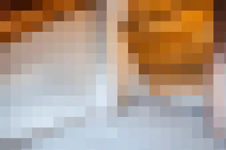 Kruiskamplaan 72 Eibergen thumbnail 34