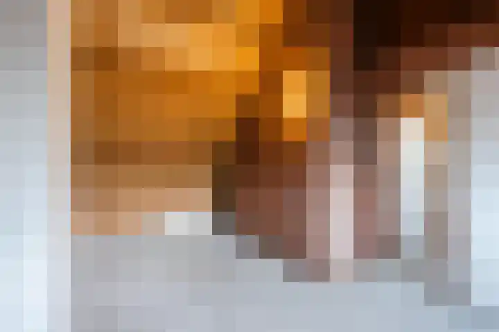 Kruiskamplaan 72 Eibergen thumbnail 35