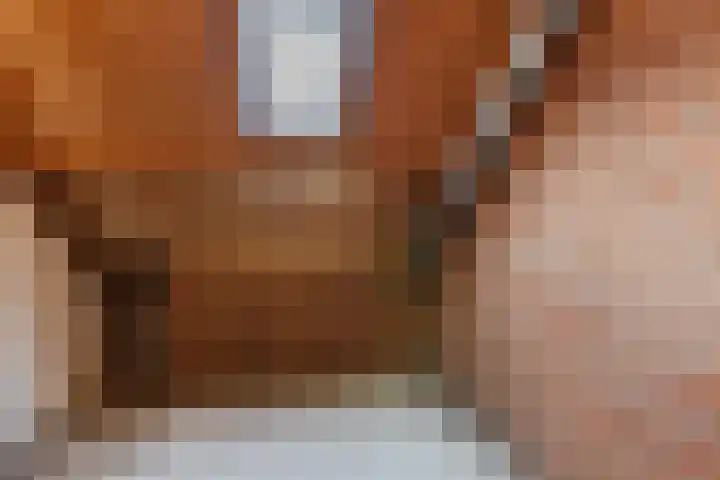 Kruiskamplaan 72 Eibergen thumbnail 41