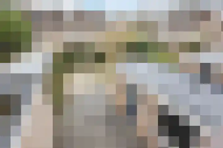 Kruiskamplaan 72 Eibergen thumbnail 43