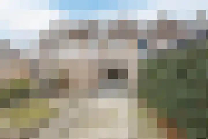 Kruiskamplaan 72 Eibergen thumbnail 48