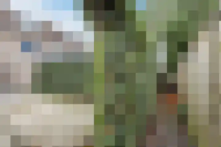 Kruiskamplaan 72 Eibergen thumbnail 50