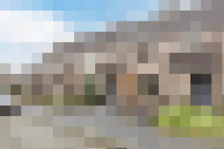 Kruiskamplaan 72 Eibergen thumbnail 52