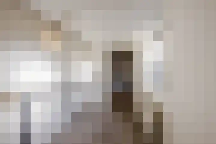 Kruiskamplaan 76 Eibergen thumbnail 15