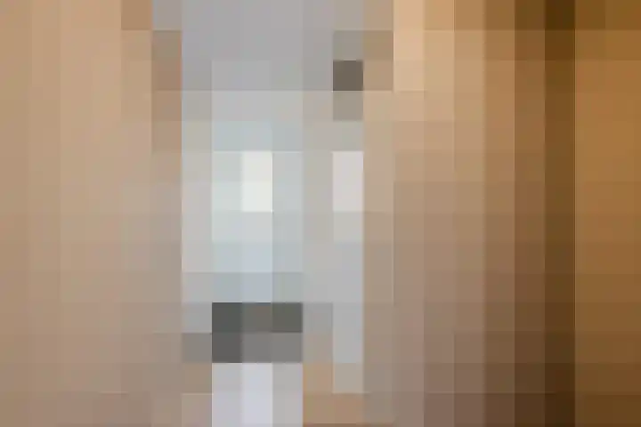 Kruiskamplaan 76 Eibergen thumbnail 17