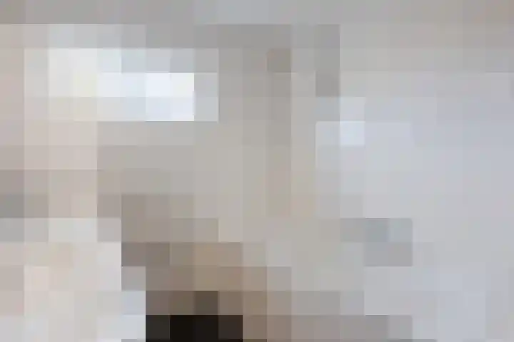 Kruiskamplaan 76 Eibergen thumbnail 28