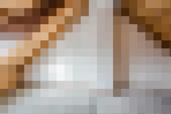 Kruiskamplaan 76 Eibergen thumbnail 32