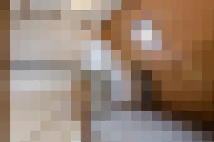Kruiskamplaan 76 Eibergen thumbnail 39