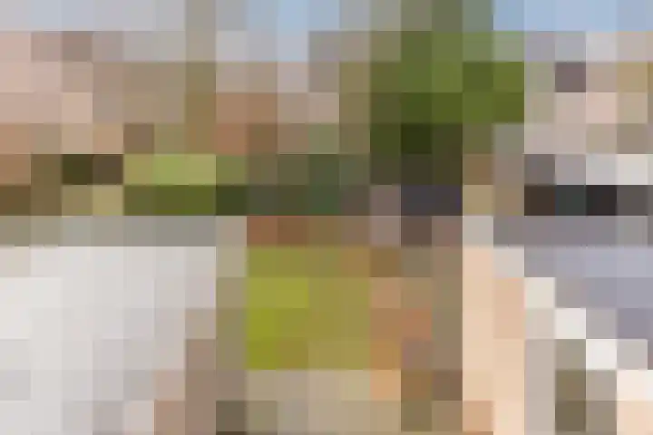 Kruiskamplaan 76 Eibergen thumbnail 40