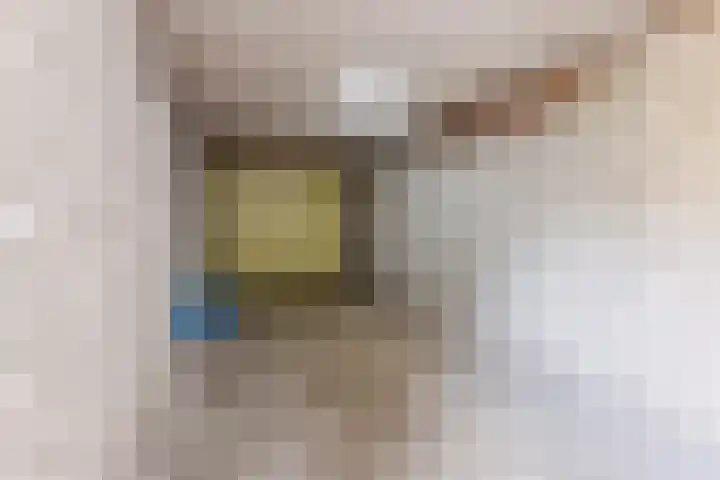 Kruiskamplaan 76 Eibergen thumbnail 42