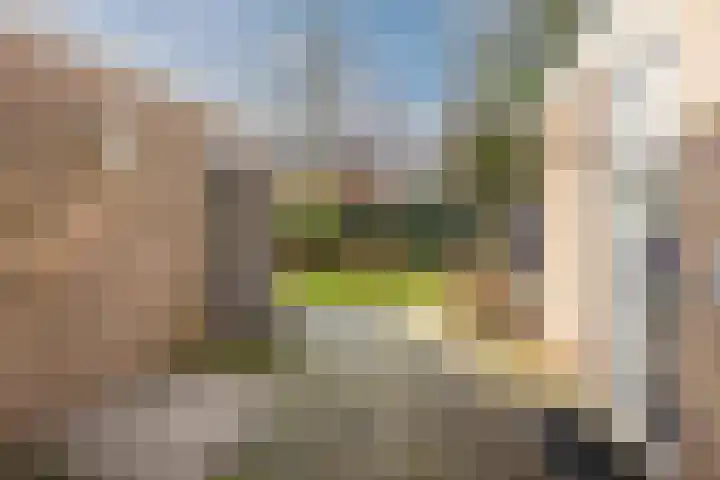 Kruiskamplaan 76 Eibergen thumbnail 45