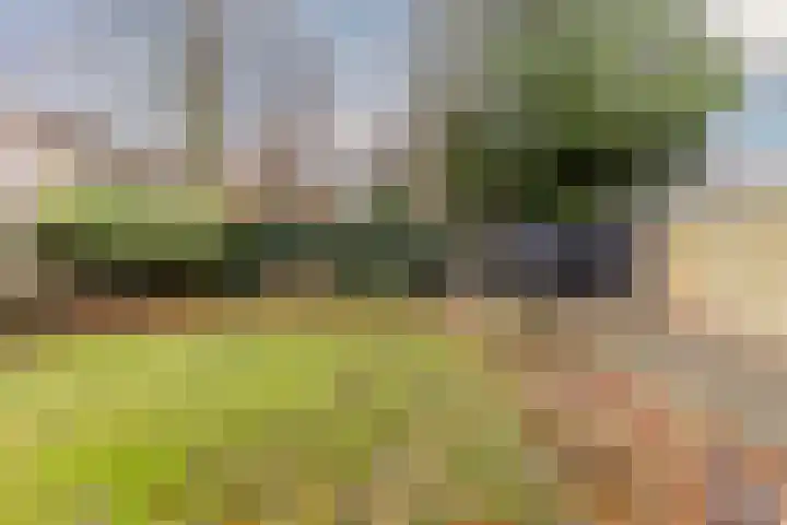 Kruiskamplaan 76 Eibergen thumbnail 47