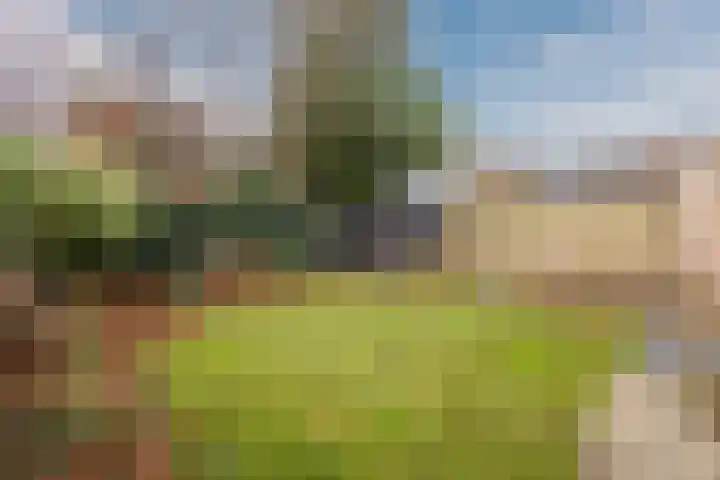 Kruiskamplaan 76 Eibergen thumbnail 48