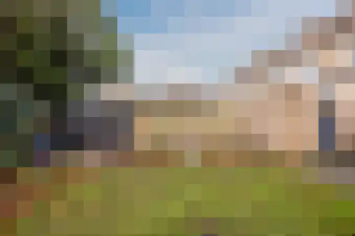 Kruiskamplaan 76 Eibergen thumbnail 49