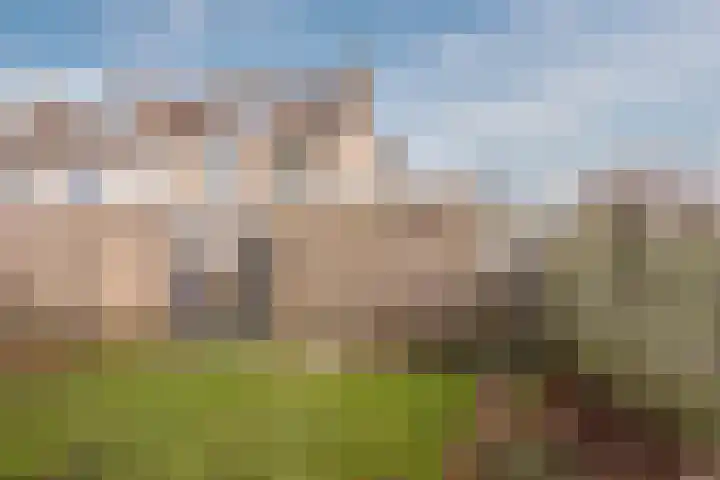 Kruiskamplaan 76 Eibergen thumbnail 51