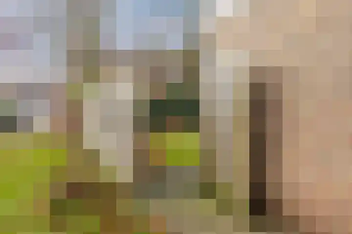 Kruiskamplaan 76 Eibergen thumbnail 52