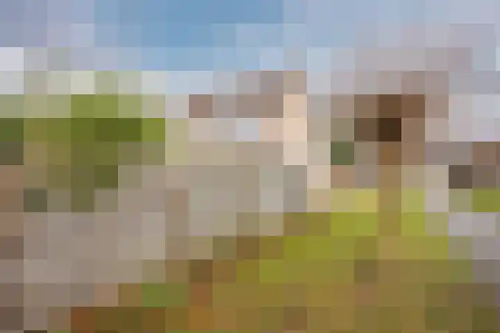 Kruiskamplaan 76 Eibergen thumbnail 53