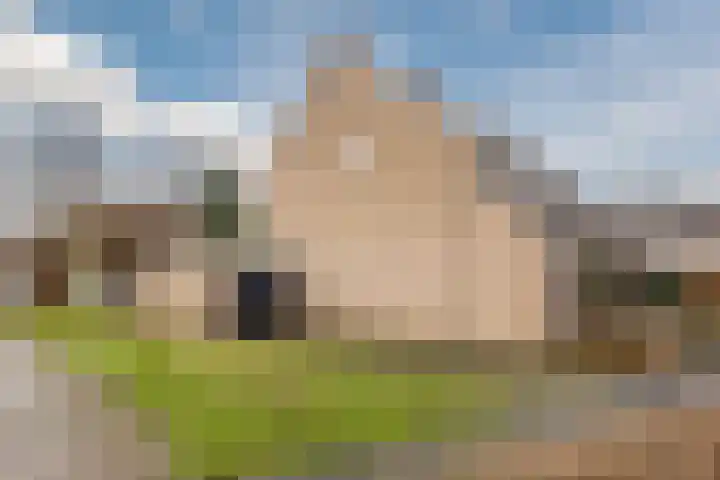 Kruiskamplaan 76 Eibergen thumbnail 55