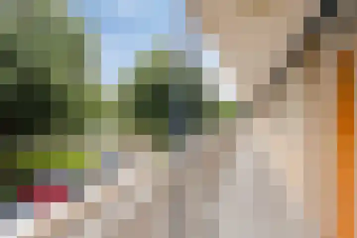 Kruiskampsingel 143 's-Hertogenbosch thumbnail 29
