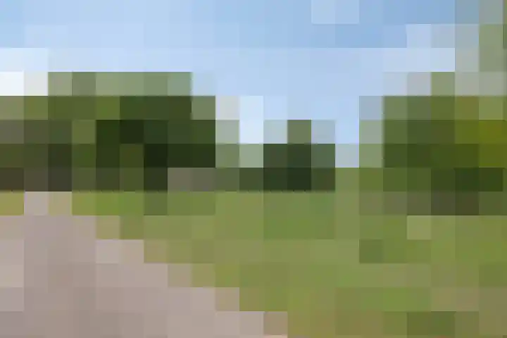 Kruiskampsingel 143 's-Hertogenbosch thumbnail 31