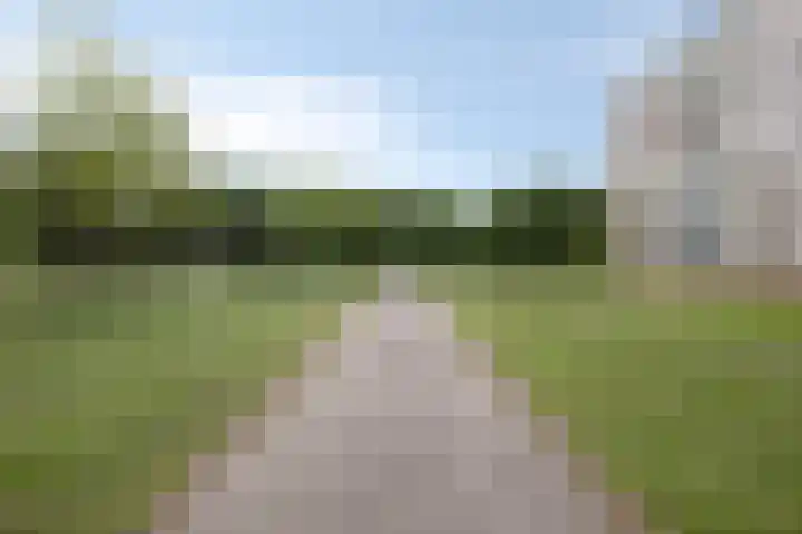 Kruiskampsingel 143 's-Hertogenbosch thumbnail 33