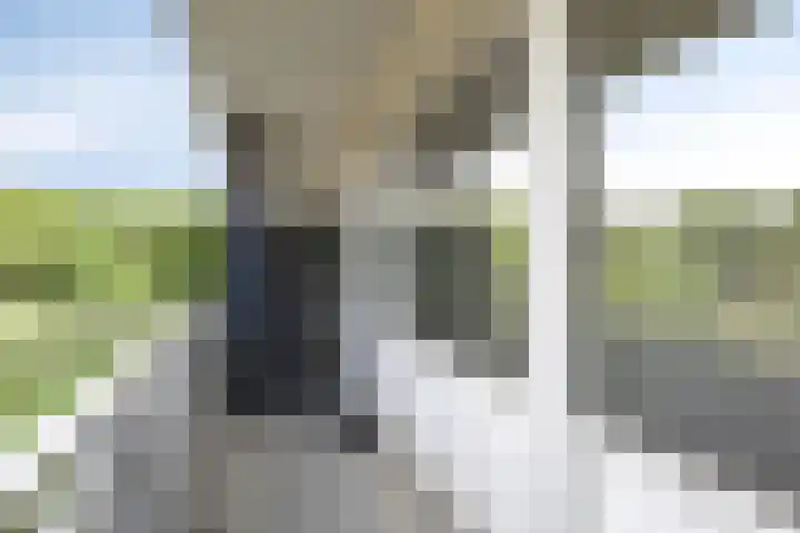 Kruiskampsingel 143 's-Hertogenbosch thumbnail 7