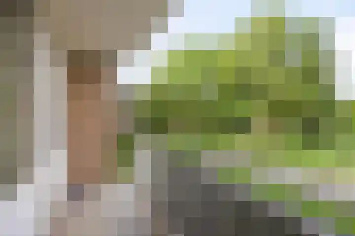 Kruiskampsingel 143 's-Hertogenbosch thumbnail 8