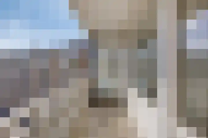 Kruiskampsingel 187 's-Hertogenbosch thumbnail 10