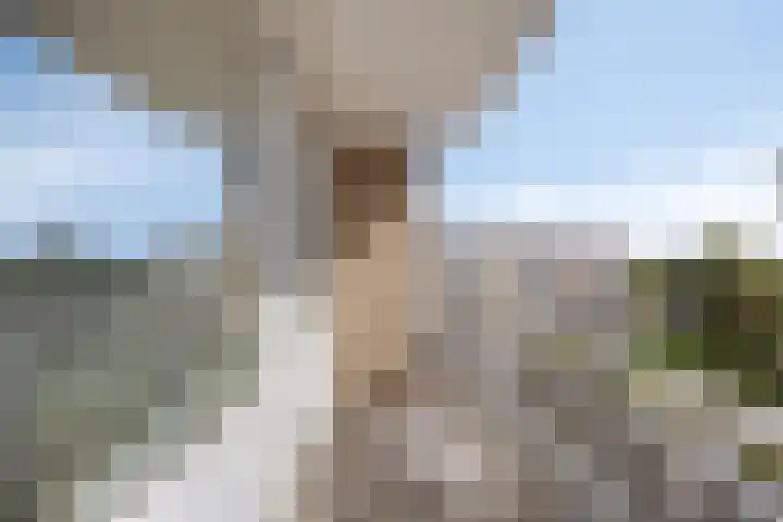Kruiskampsingel 187 's-Hertogenbosch thumbnail 9