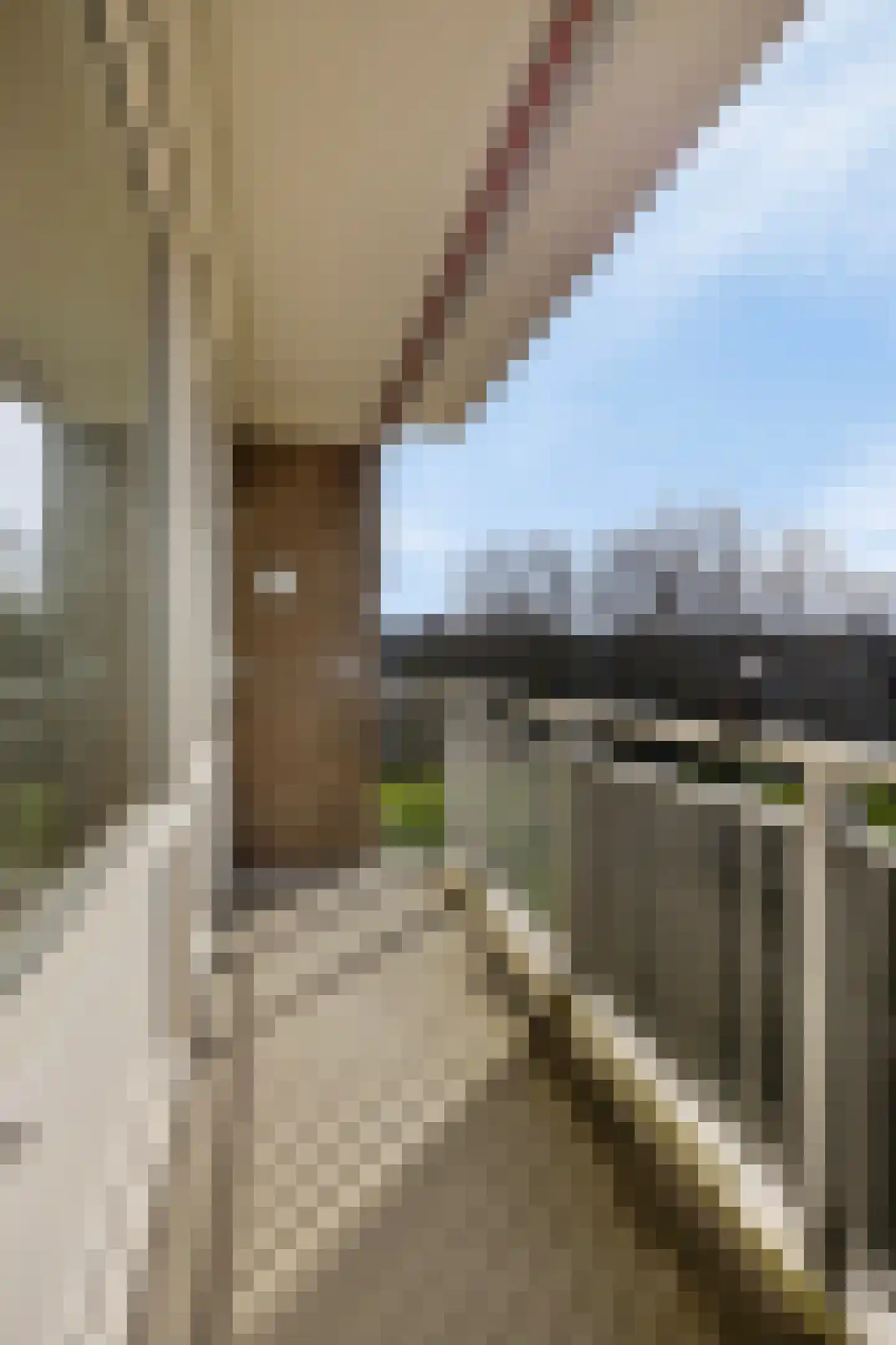 Kruiskampsingel 193 's-Hertogenbosch thumbnail 11