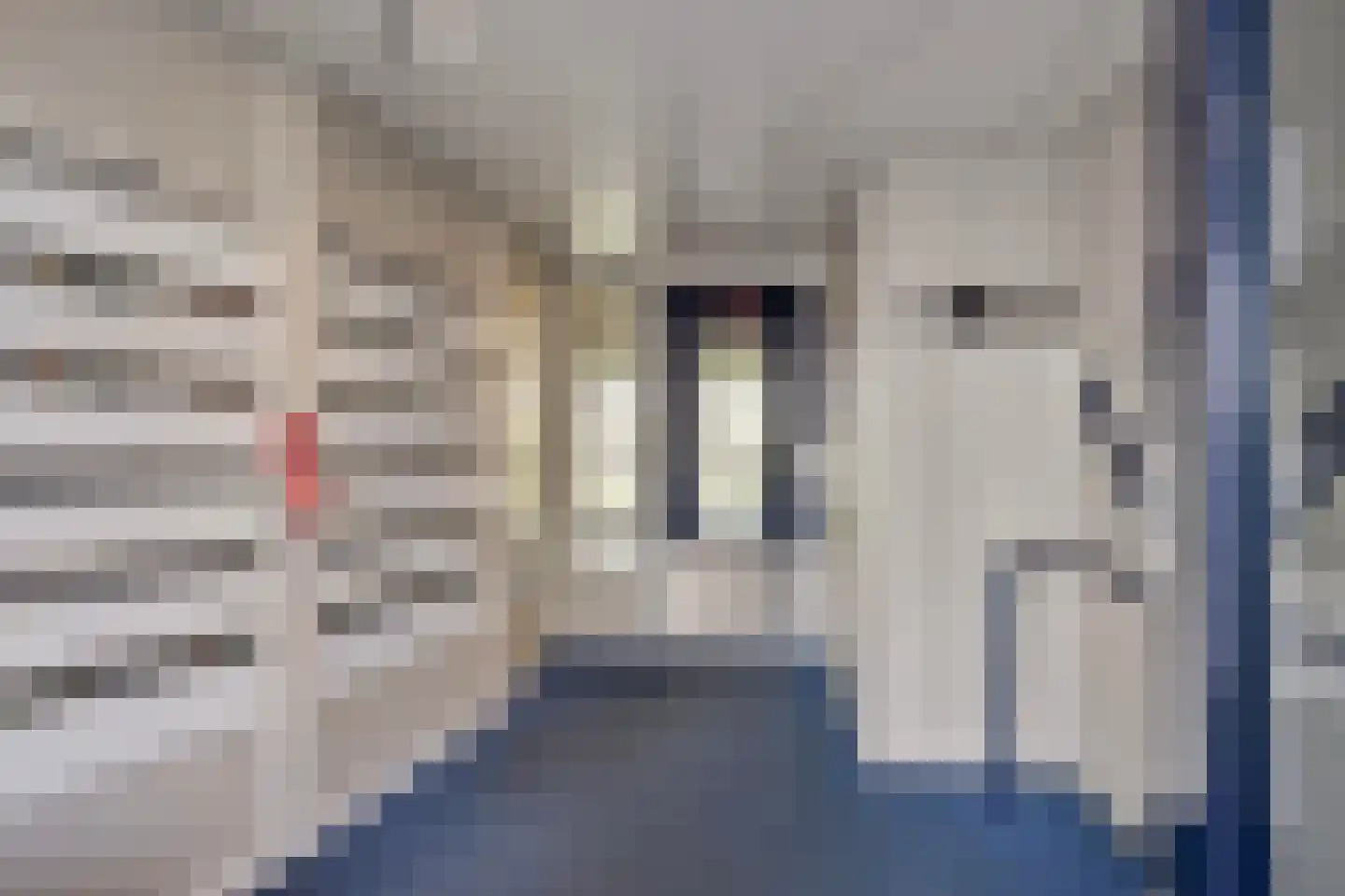Kruiskampsingel 193 's-Hertogenbosch thumbnail 39