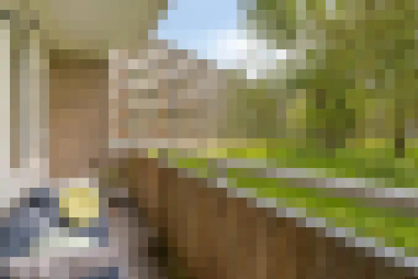 Kruiskampsingel 223 's-Hertogenbosch thumbnail 25