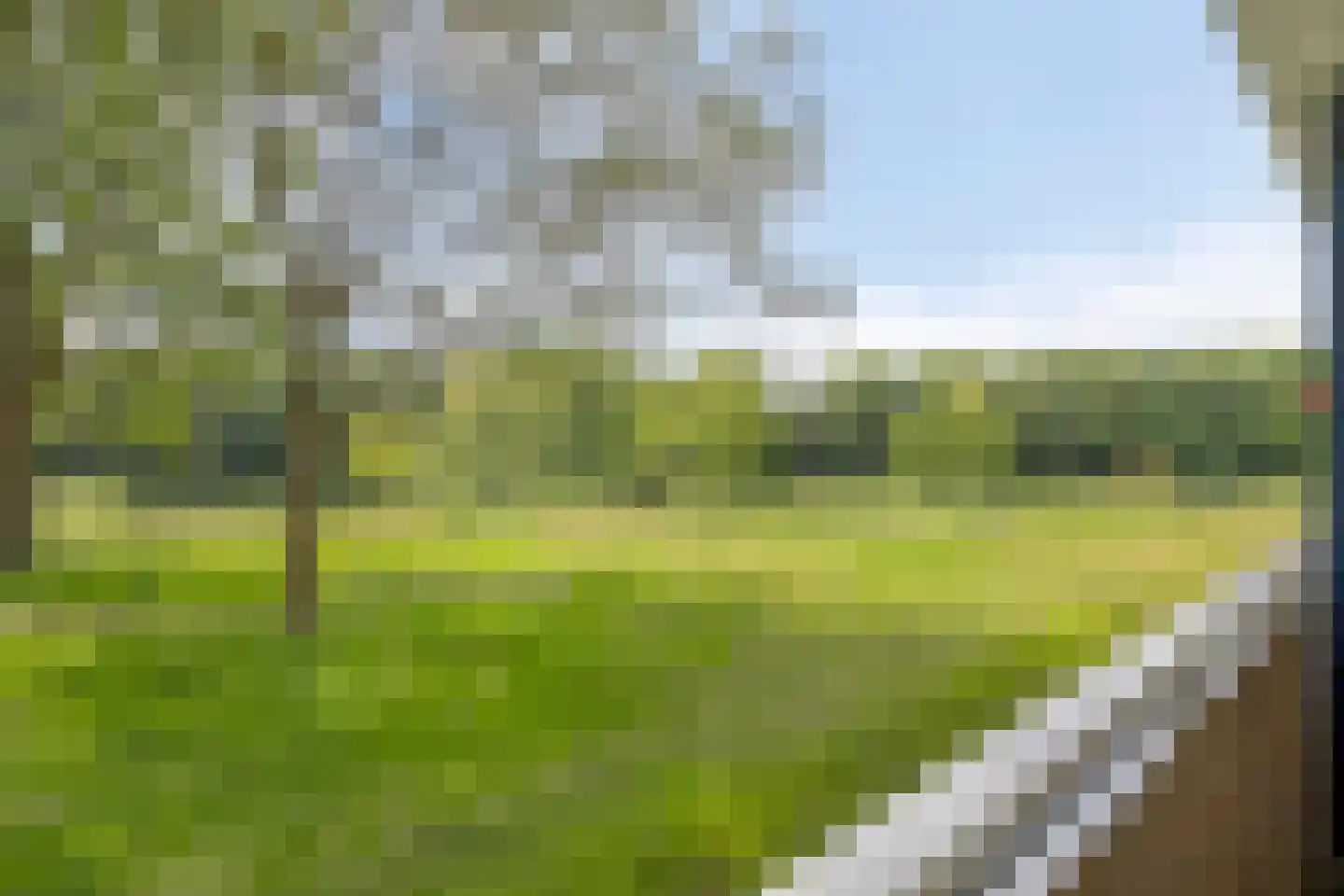 Kruiskampsingel 223 's-Hertogenbosch thumbnail 26