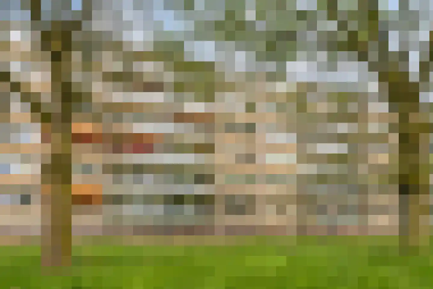 Kruiskampsingel 223 's-Hertogenbosch thumbnail 28