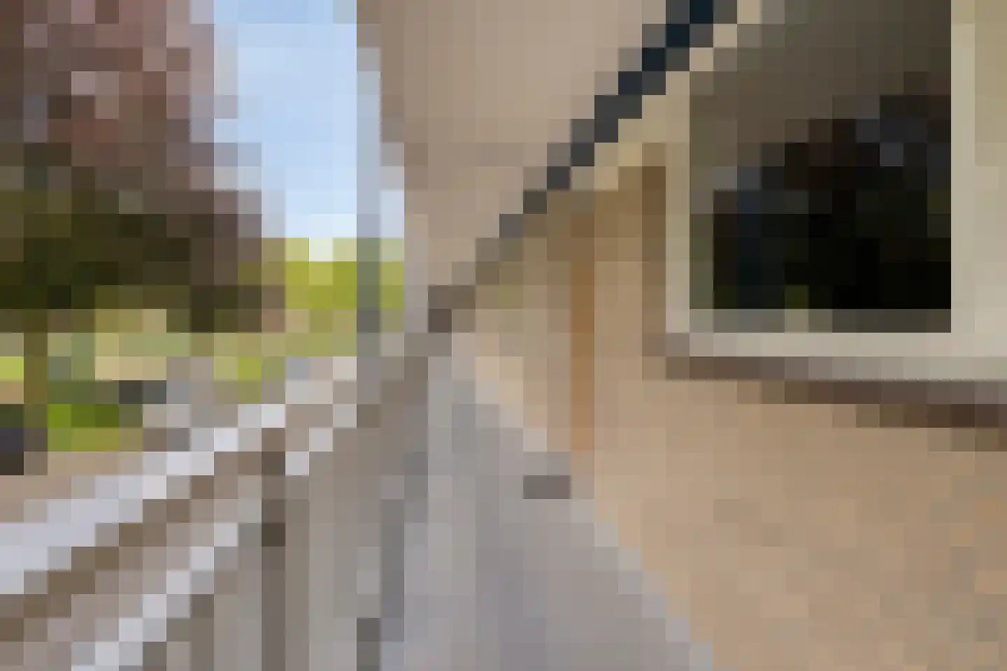 Kruiskampsingel 223 's-Hertogenbosch thumbnail 30