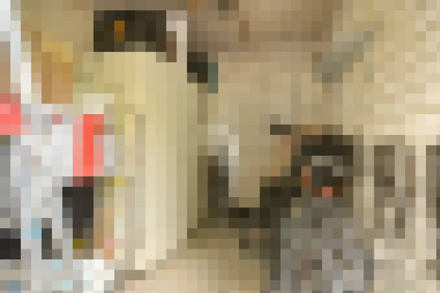 Kruiskampsingel 223 's-Hertogenbosch thumbnail 32