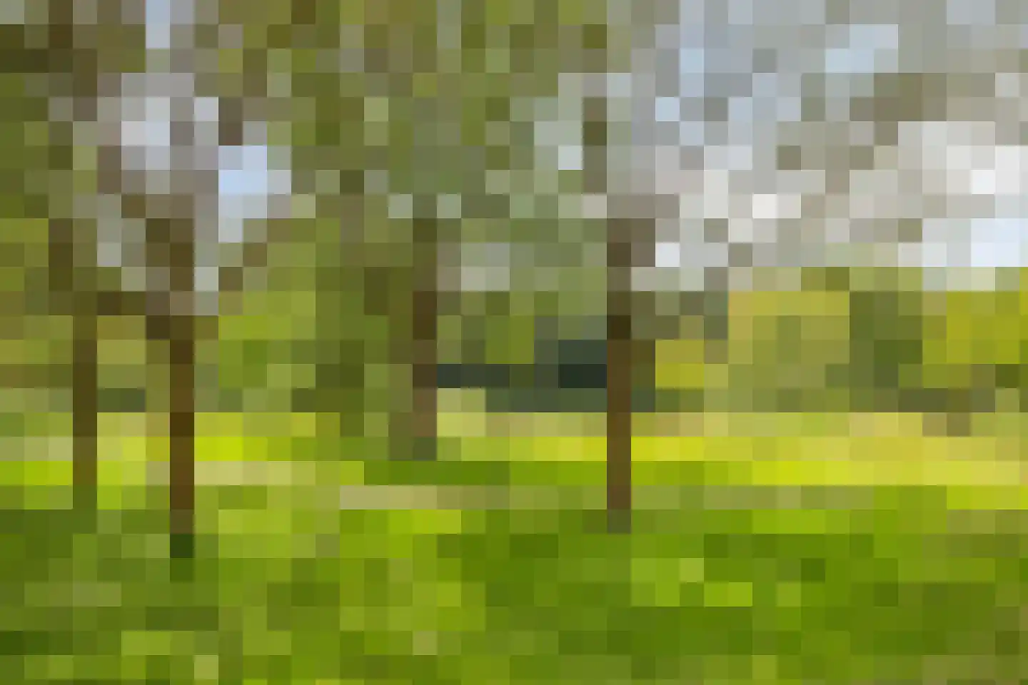 Kruiskampsingel 223 's-Hertogenbosch thumbnail 33