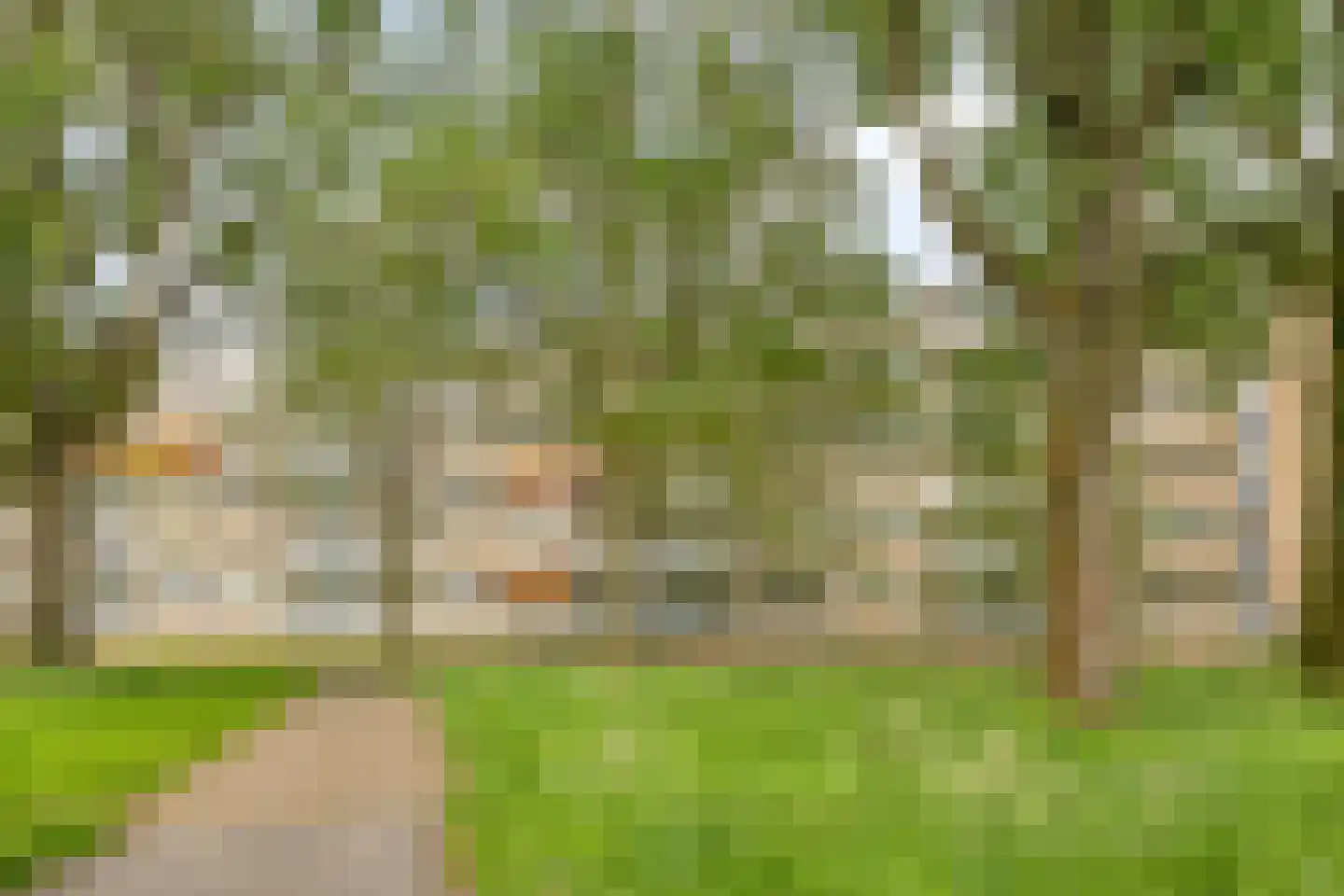 Kruiskampsingel 223 's-Hertogenbosch thumbnail 35