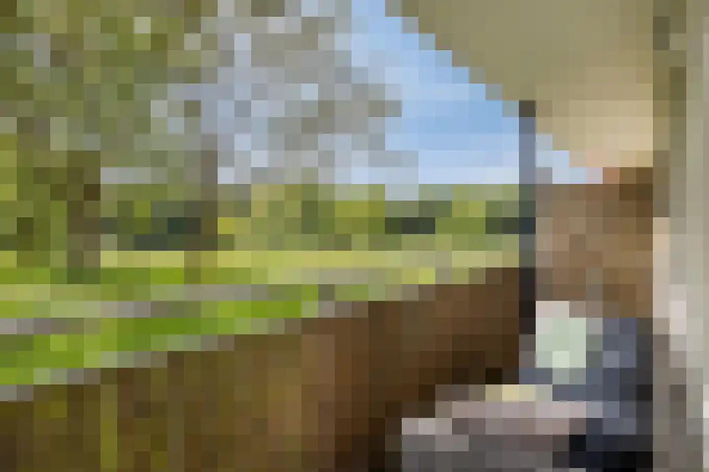 Kruiskampsingel 223 's-Hertogenbosch thumbnail 4