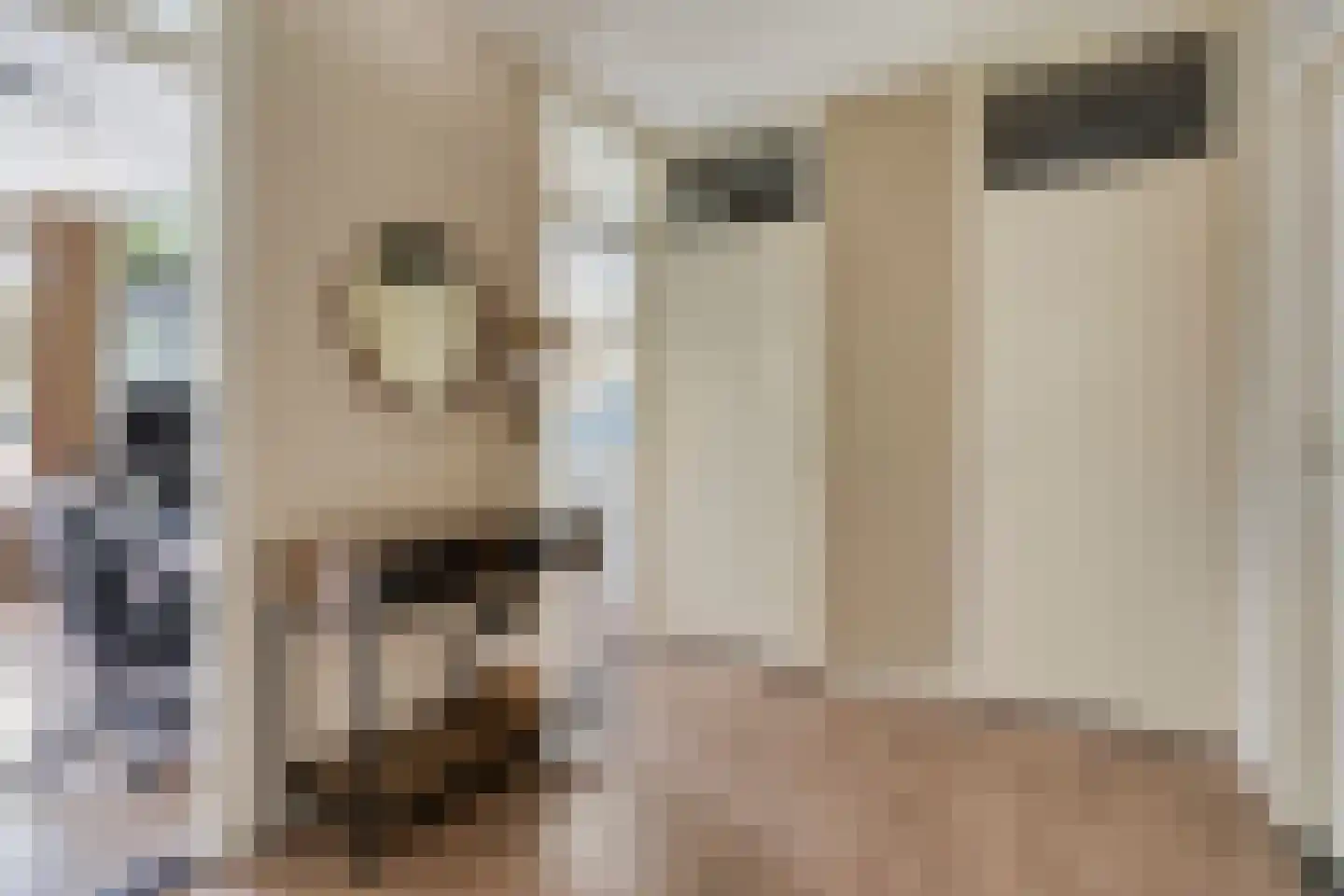 Kruiskampsingel 223 's-Hertogenbosch thumbnail 5