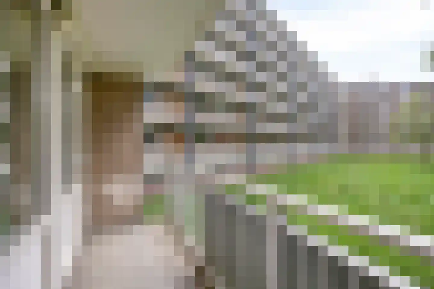 Kruiskampsingel 227 's-Hertogenbosch thumbnail 25