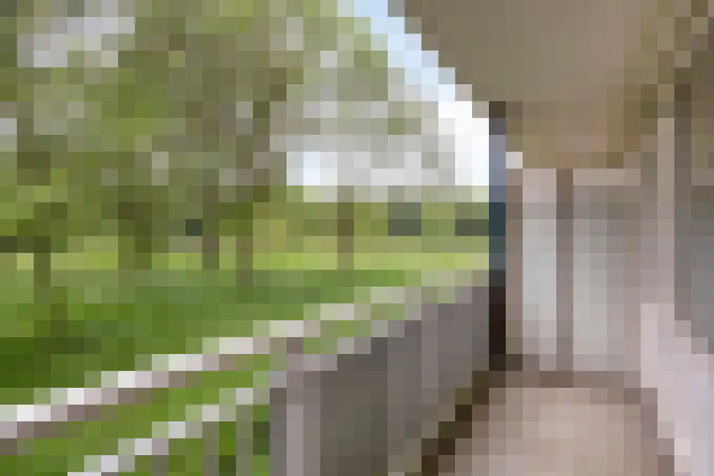 Kruiskampsingel 227 's-Hertogenbosch thumbnail 28