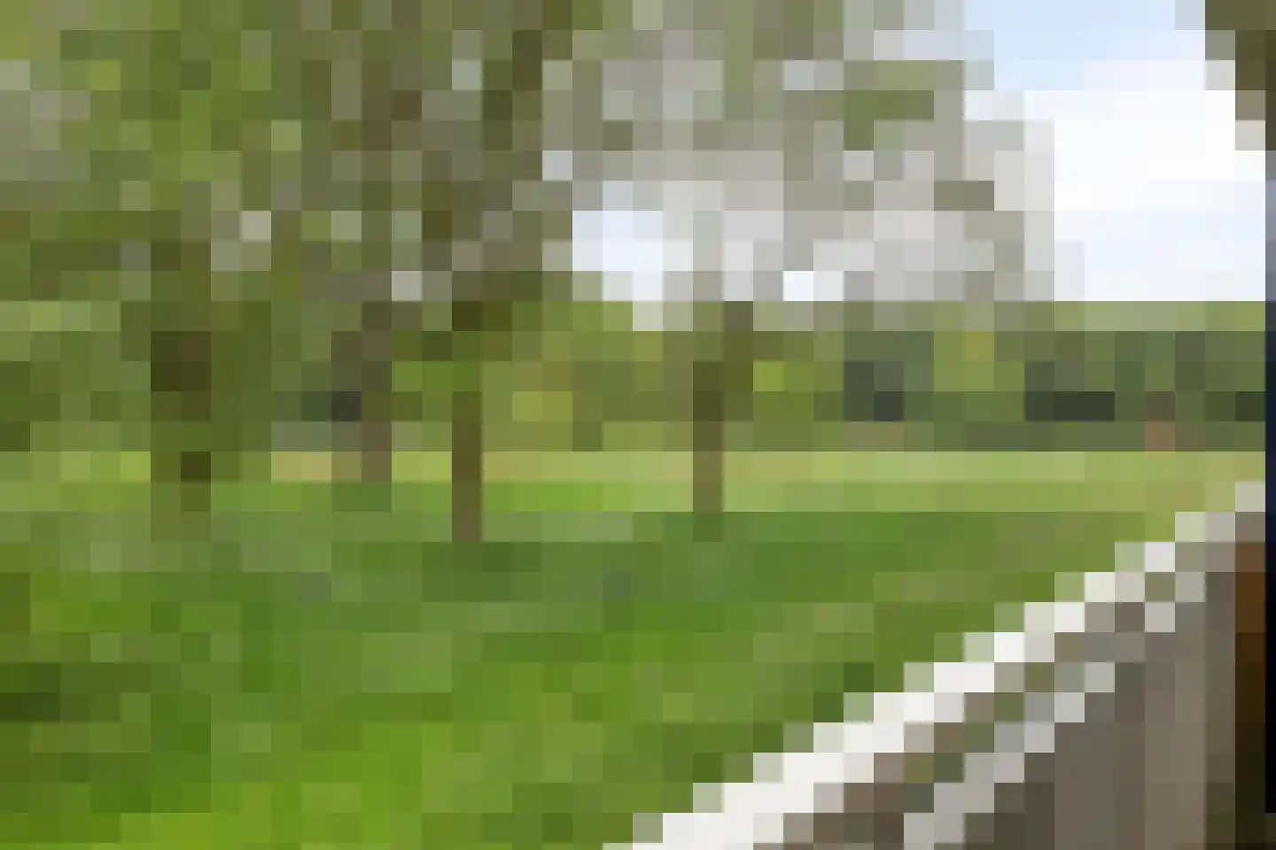 Kruiskampsingel 227 's-Hertogenbosch thumbnail 29