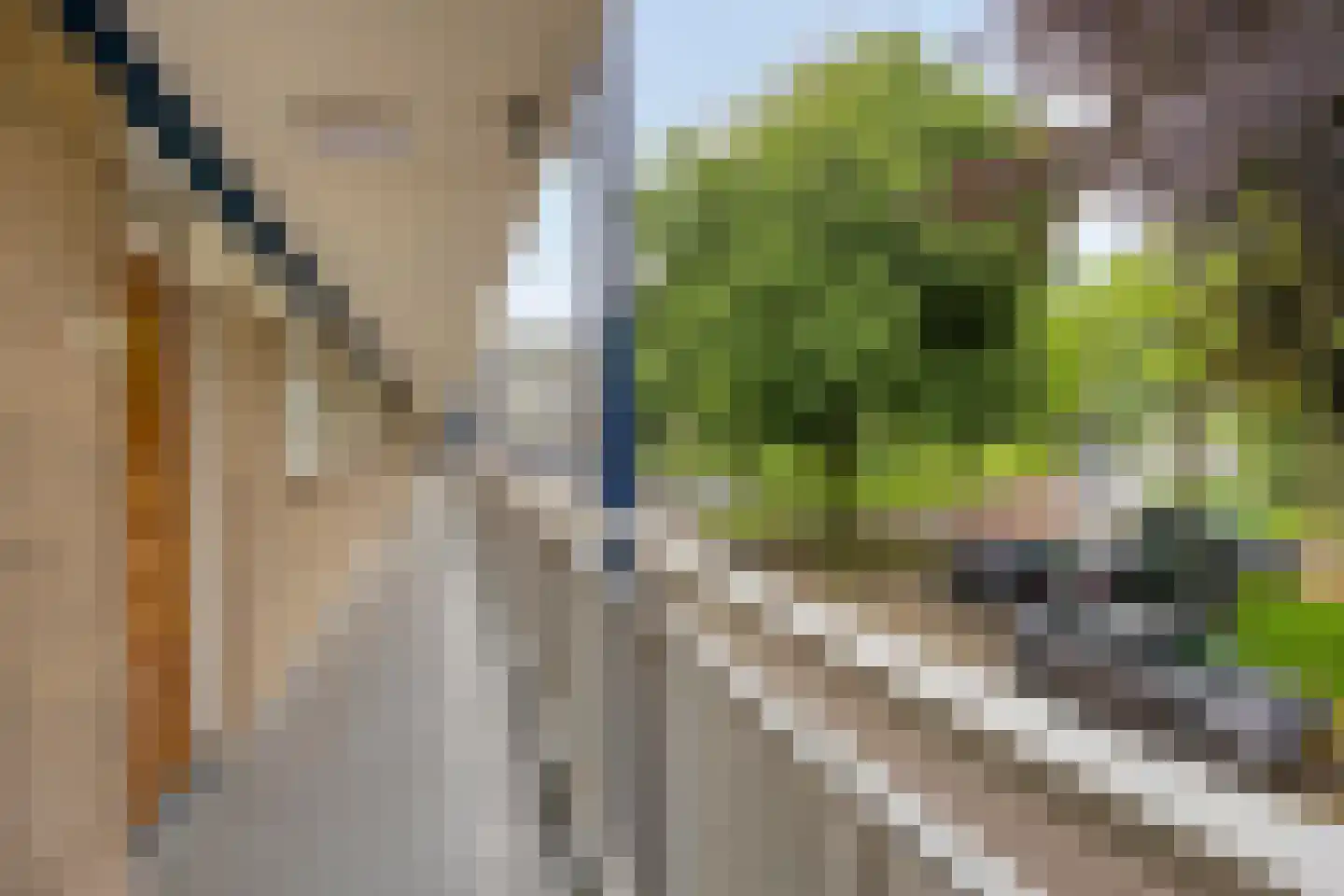 Kruiskampsingel 227 's-Hertogenbosch thumbnail 31