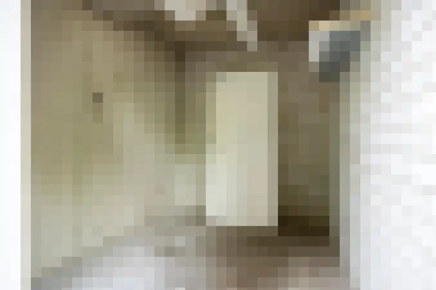 Kruiskampsingel 227 's-Hertogenbosch thumbnail 32